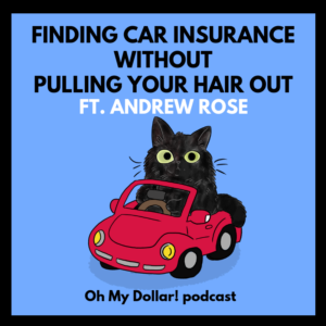 A cat tries to figure out how to buy car insurance